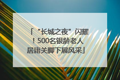 “长城之夜”闪耀！500名银龄老人居庸关脚下展风采