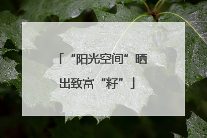 “阳光空间”晒出致富“籽”