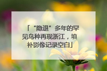 “隐退”多年的罕见鸟种再现浙江，填补影像记录空白