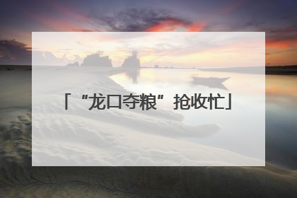 “龙口夺粮”抢收忙