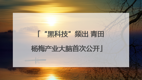 “黑科技”频出 青田杨梅产业大脑首次公开