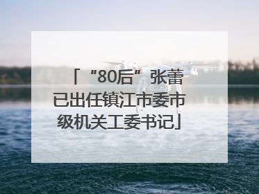 “80后”张蕾已出任镇江市委市级机关工委书记