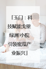 玉门：科技赋能戈壁绿洲 小院引领蜜瓜产业振兴