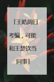 王皓周日考编，可能和王楚钦当同事