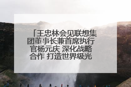 王忠林会见联想集团董事长兼首席执行官杨元庆 深化战略合作 打造世界级光电子信息产业集群
