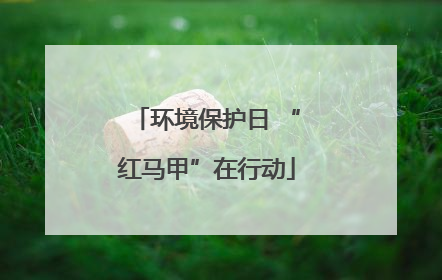 环境保护日 “红马甲”在行动