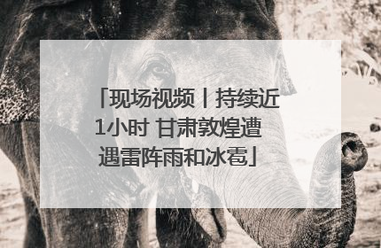 现场视频丨持续近1小时 甘肃敦煌遭遇雷阵雨和冰雹