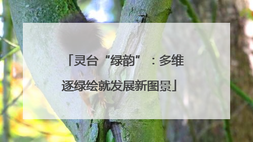 灵台“绿韵”：多维逐绿绘就发展新图景