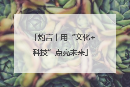灼言丨用“文化+科技”点亮未来