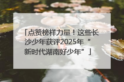 点赞榜样力量！这些长沙少年获评2025年“新时代湖南好少年”
