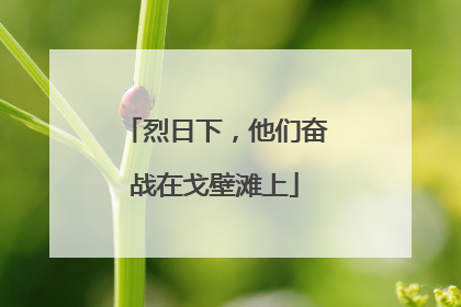烈日下，他们奋战在戈壁滩上