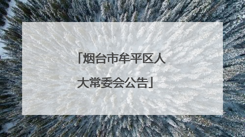烟台市牟平区人大常委会公告