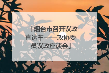 烟台市召开议政直达车——政协委员议政座谈会