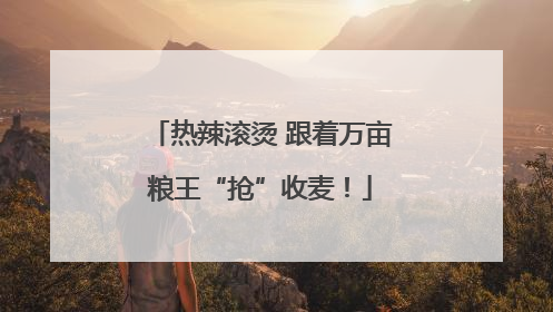 热辣滚烫 跟着万亩粮王“抢”收麦！