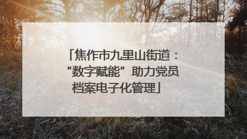 焦作市九里山街道：“数字赋能”助力党员档案电子化管理