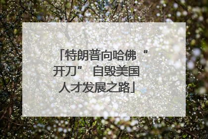 特朗普向哈佛“开刀” 自毁美国人才发展之路