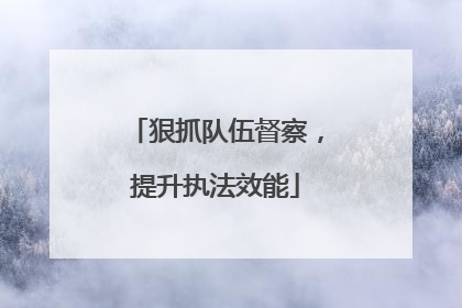 狠抓队伍督察，提升执法效能