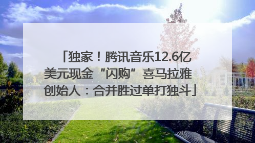 独家！腾讯音乐12.6亿美元现金“闪购”喜马拉雅 创始人：合并胜过单打独斗