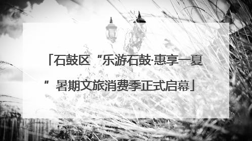 石鼓区“乐游石鼓·惠享一夏”暑期文旅消费季正式启幕