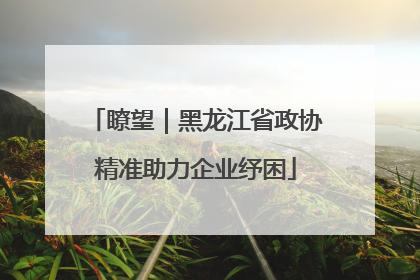 瞭望｜黑龙江省政协精准助力企业纾困