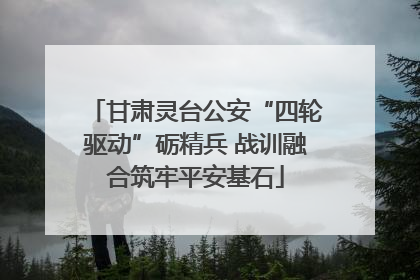 甘肃灵台公安“四轮驱动”砺精兵 战训融合筑牢平安基石