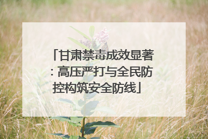甘肃禁毒成效显著：高压严打与全民防控构筑安全防线