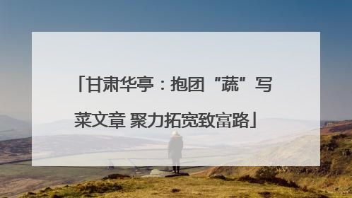 甘肃华亭：抱团“蔬”写菜文章 聚力拓宽致富路