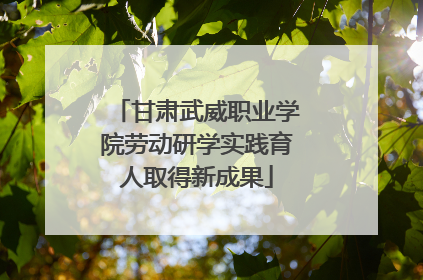 甘肃武威职业学院劳动研学实践育人取得新成果