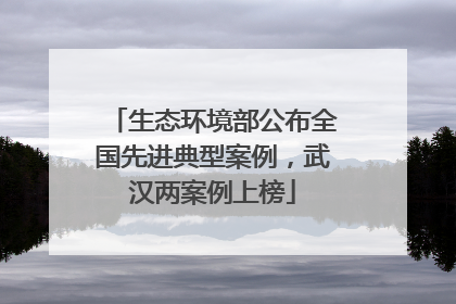生态环境部公布全国先进典型案例，武汉两案例上榜