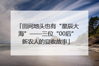 田间地头也有“星辰大海”——三位“00后”新农人的夏收故事