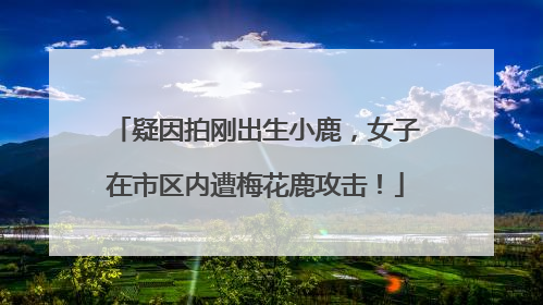 疑因拍刚出生小鹿，女子在市区内遭梅花鹿攻击！