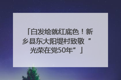 白发绘就红底色！新乡县东大阳堤村致敬“光荣在党50年”