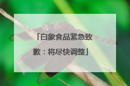 白象食品紧急致歉：将尽快调整