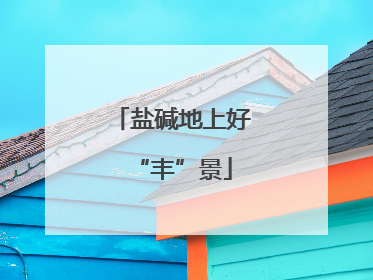 盐碱地上好“丰”景
