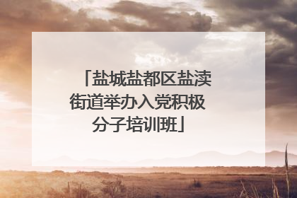 盐城盐都区盐渎街道举办入党积极分子培训班