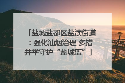 盐城盐都区盐渎街道：强化油烟治理 多措并举守护“盐城蓝”