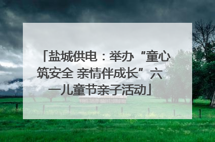盐城供电：举办“童心筑安全 亲情伴成长”六一儿童节亲子活动