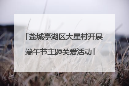 盐城亭湖区大星村开展端午节主题关爱活动