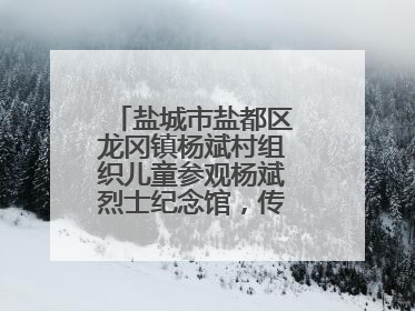 盐城市盐都区龙冈镇杨斌村组织儿童参观杨斌烈士纪念馆，传承红色基因