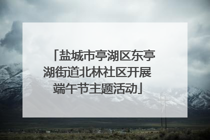盐城市亭湖区东亭湖街道北林社区开展端午节主题活动