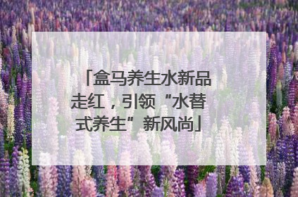 盒马养生水新品走红，引领“水替式养生”新风尚