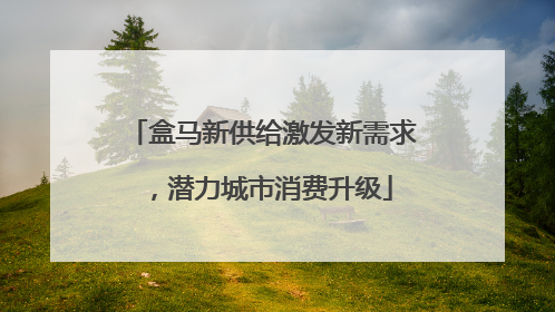 盒马新供给激发新需求，潜力城市消费升级