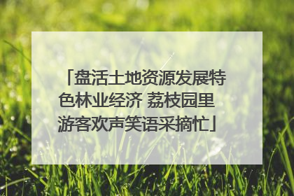 盘活土地资源发展特色林业经济 荔枝园里游客欢声笑语采摘忙