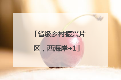 省级乡村振兴片区，西海岸+1