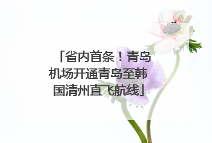 省内首条！青岛机场开通青岛至韩国清州直飞航线