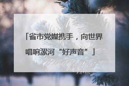 省市党媒携手，向世界唱响漯河“好声音”
