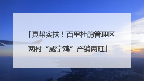 真帮实扶！百里杜鹃管理区两村“威宁鸡”产销两旺