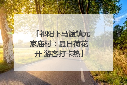 祁阳下马渡镇元家庙村：夏日荷花开 游客打卡热