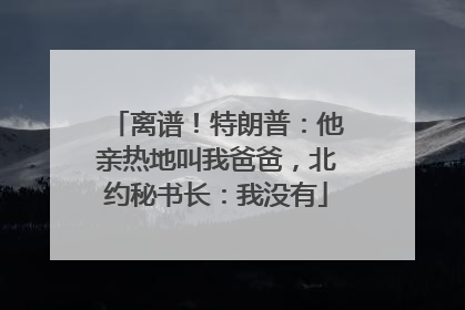 离谱！特朗普：他亲热地叫我爸爸，北约秘书长：我没有