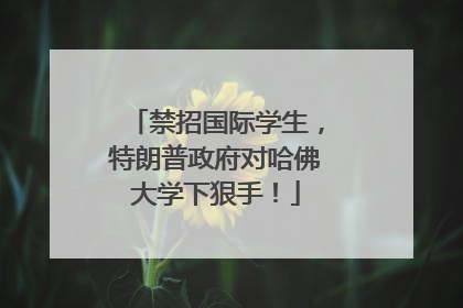 禁招国际学生，特朗普政府对哈佛大学下狠手！